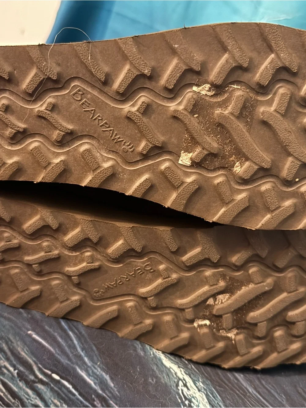 BearPaw tall winter